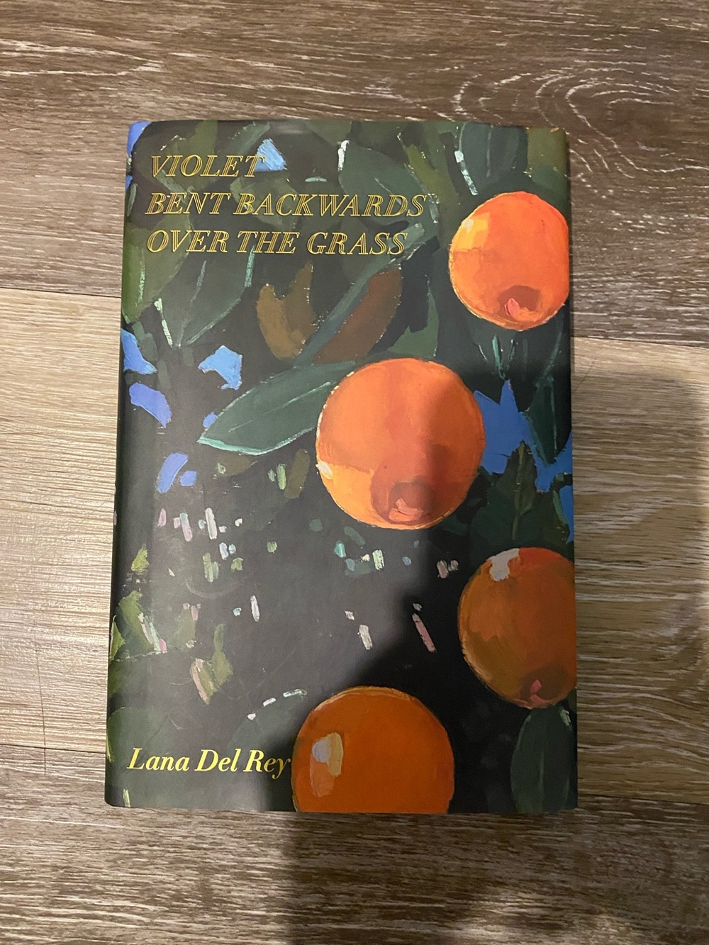 Violet Bent Backwards Over the Grass - Lana Del Rey